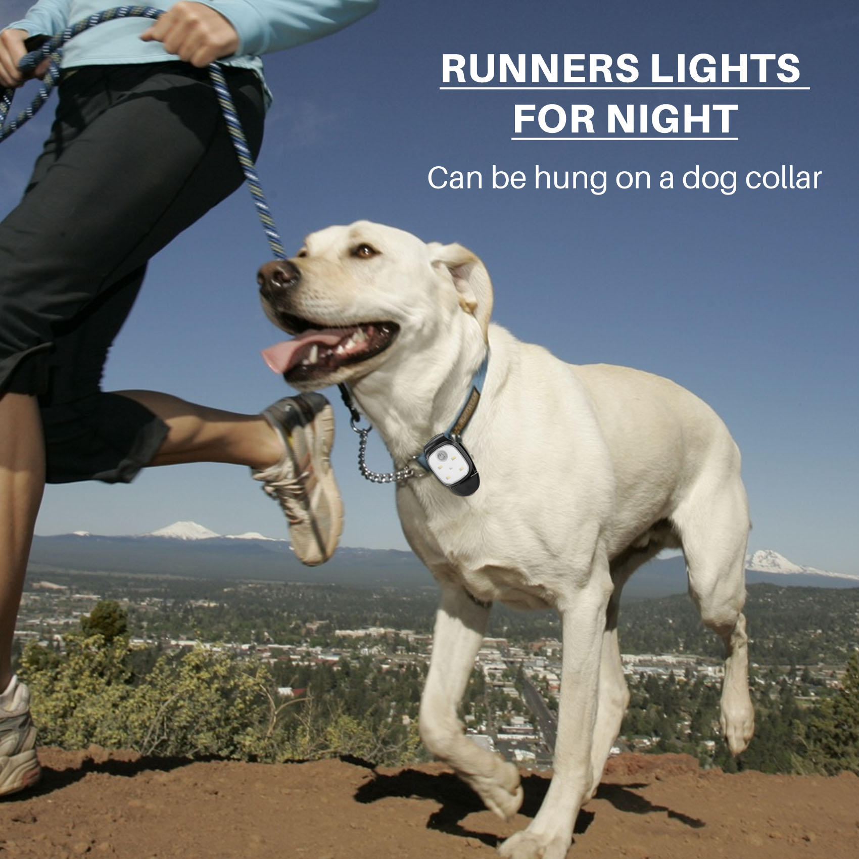 XSXS-Outdoor Night Clip On Run - مراجعة Running Gear Reflective وسعره